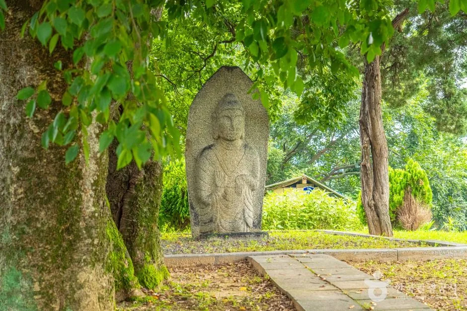 안성_양성 석조여래입상 (7)