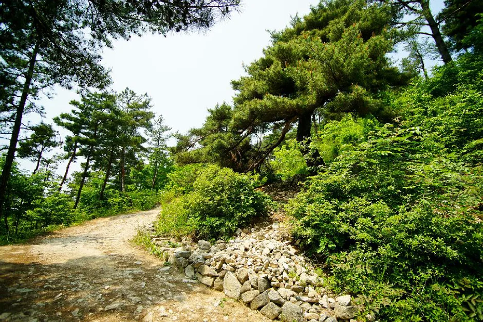 전북_남원시_회덕마을_전경 (5)