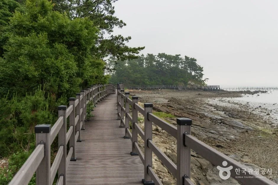 사천_월등도 (3)