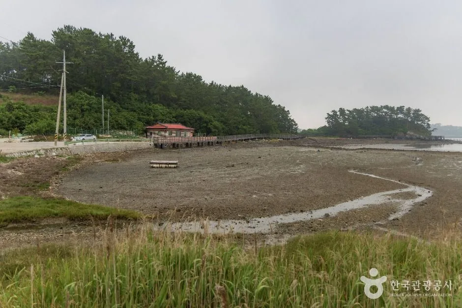 사천_월등도 (5)