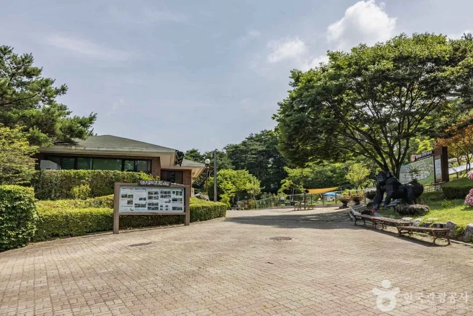 느린 걸음으로 둘러보는 청주의 감성 명소_충북_청주_청주동물원_6.jpg