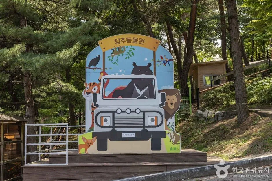 느린 걸음으로 둘러보는 청주의 감성 명소_충북_청주_청주동물원_3.jpg