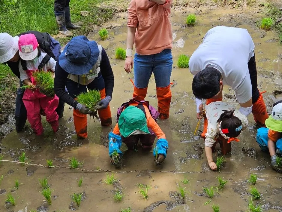 성남_맹산반딧불이자연학교 (2)