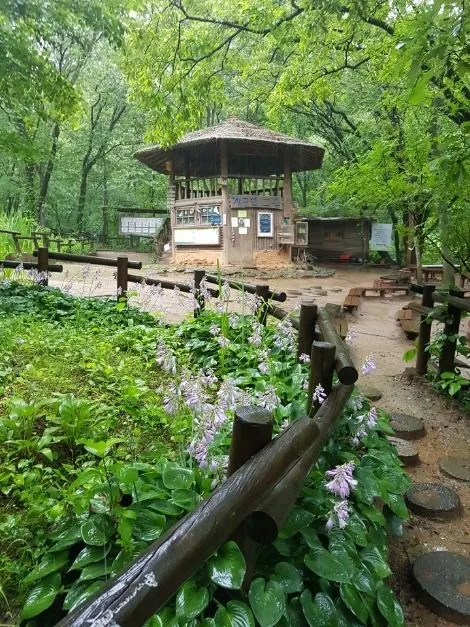 성남_맹산반딧불이자연학교 (5)