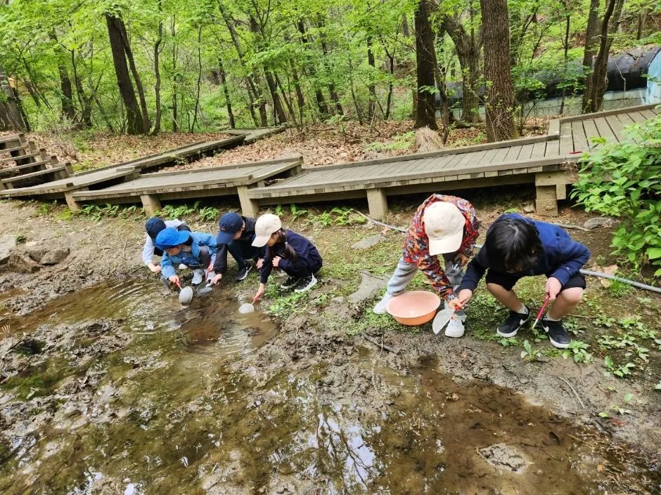 성남_맹산반딧불이자연학교 (4)