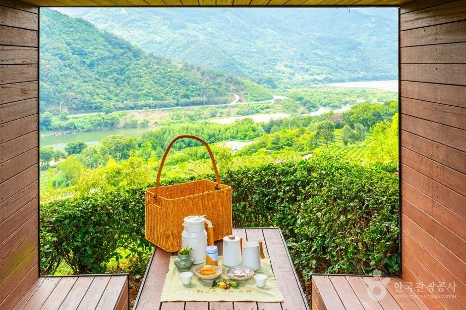 경남_하동_따신골 녹차정원_체험_3.jpg