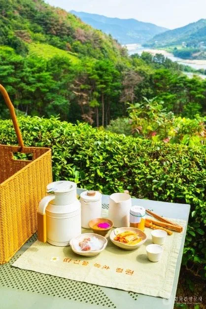 경남_하동_따신골 녹차정원_체험_2.jpg
