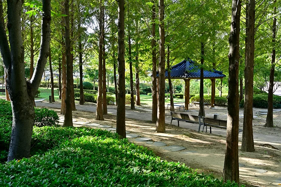 울산광역시_울주군_구영공원_11