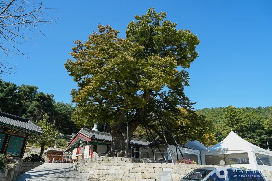 A04424_인천_중구_용궁사(5)