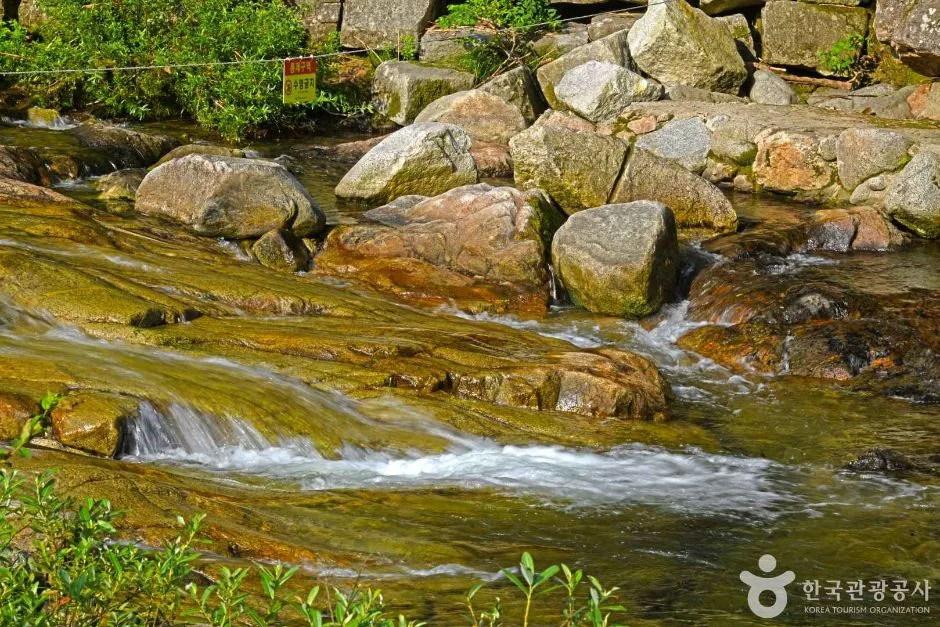 구룡계곡 (4)