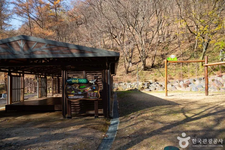 대전_동구_만인산 자연휴양림 (11)
