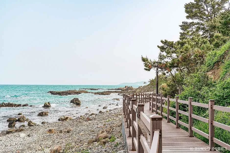 경주_경주 양남 주상절리군 (4).jpg