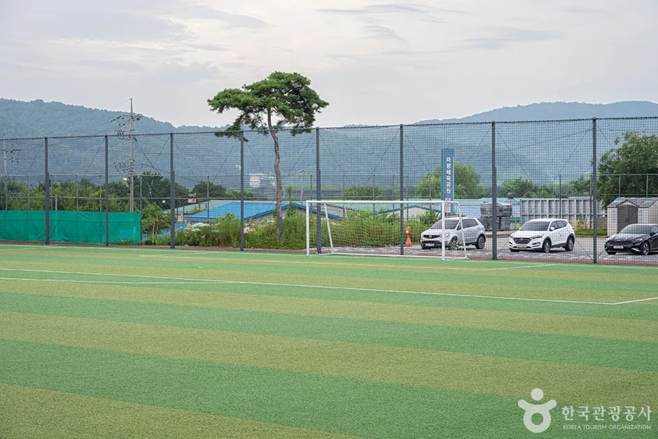 파평체육공원 (9)