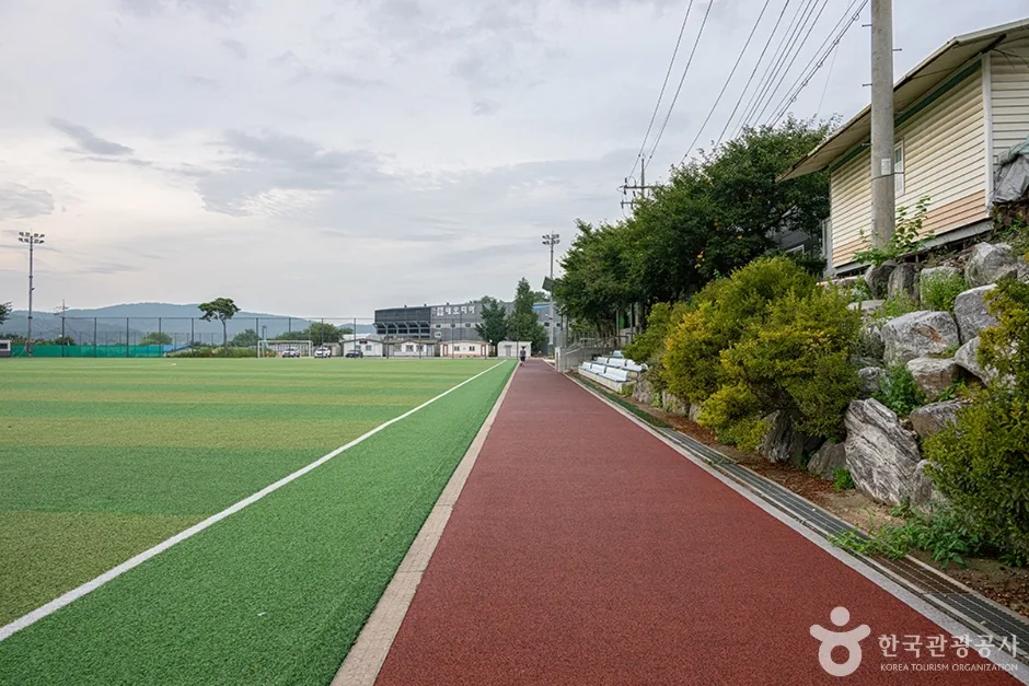 파평체육공원 (11)