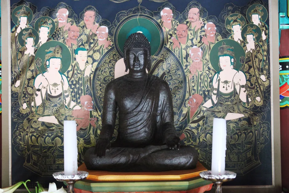 충북_충주시_백운암철조여레좌상 (3)