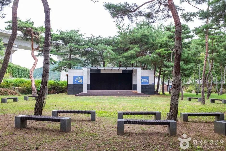 청송_중평솔밭 (4)