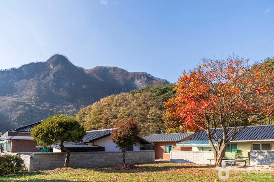 단양 향산리 삼층석탑 (13)