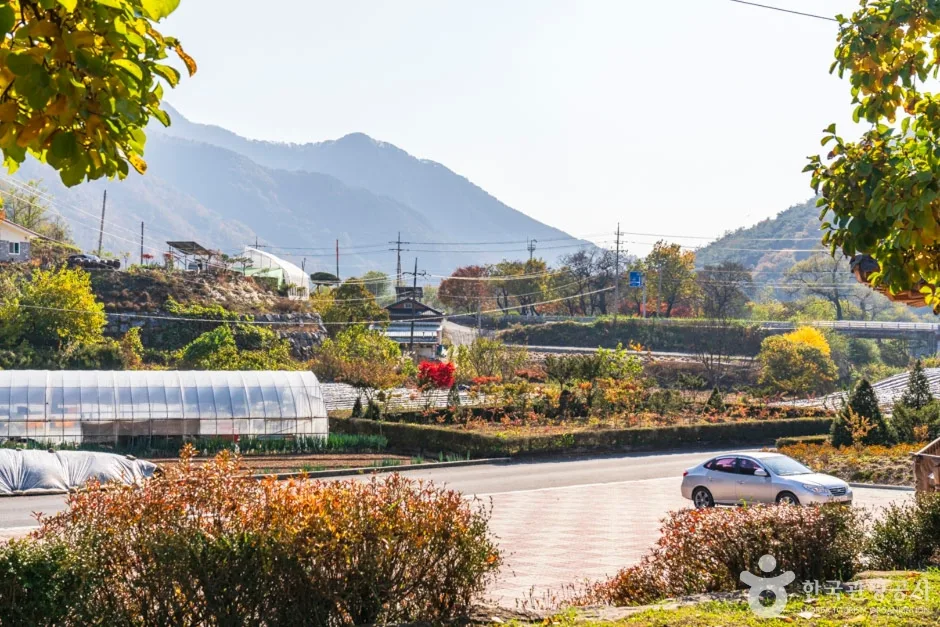 단양 향산리 삼층석탑 (5)