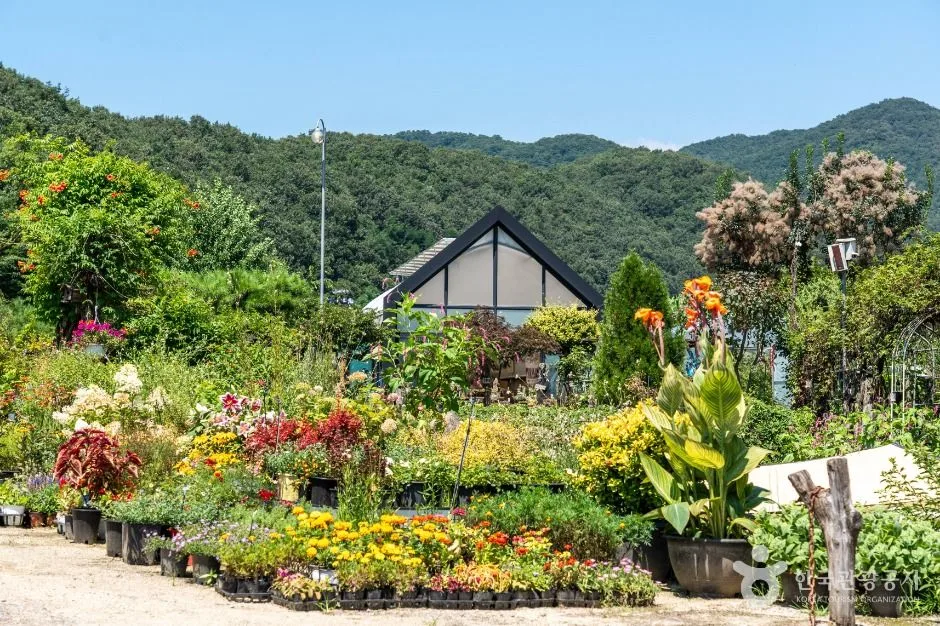 경기광주_퇴촌식물원 (1)