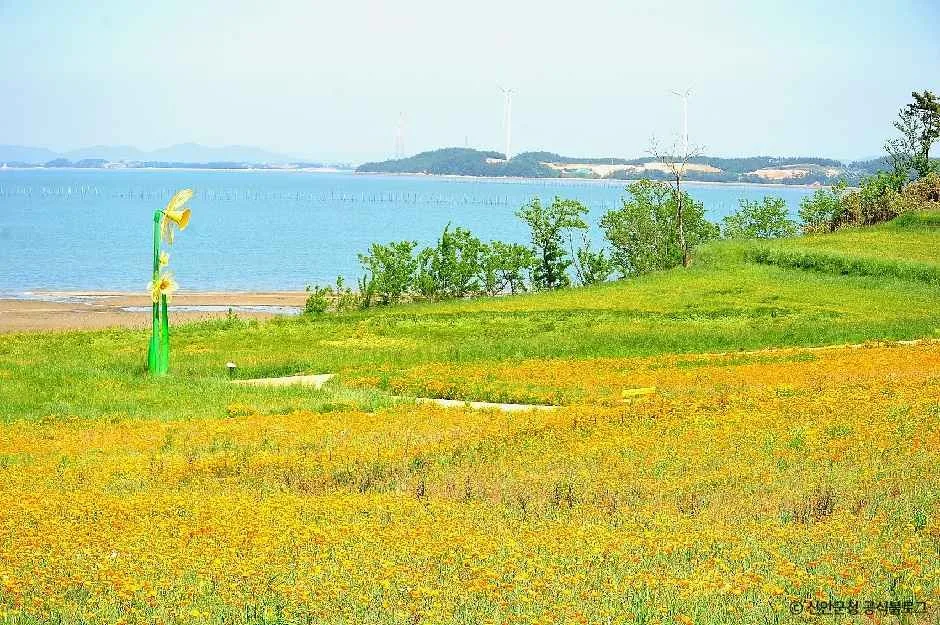 신안_선도 (3).jpg