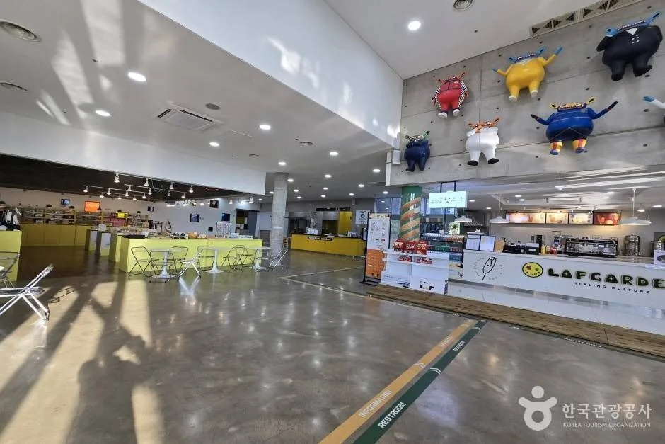 제주라프_e (7)