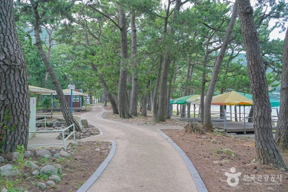 고흥_덕흥해수욕장 (2)