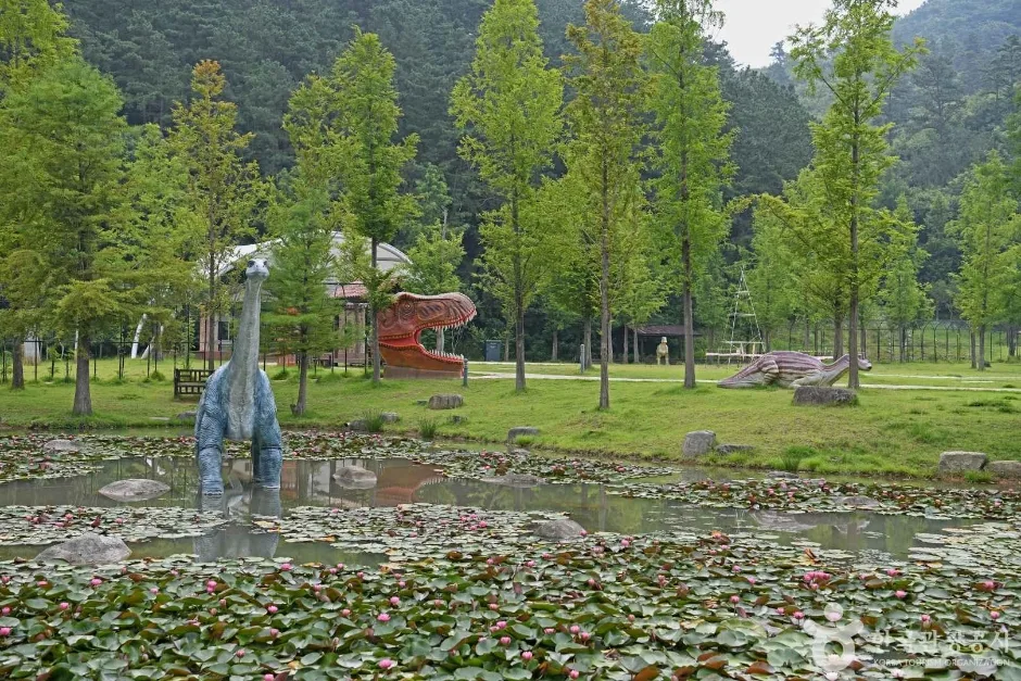 전남_담양_메타세콰이어_산책길_1.jpg