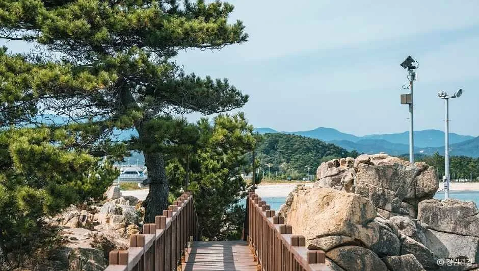 고성_능파대 (강원평화지역 국가지질공원) (4)