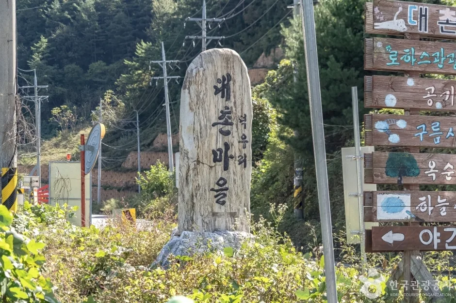 덕우리대촌마을 (15)_키높은 밀밭