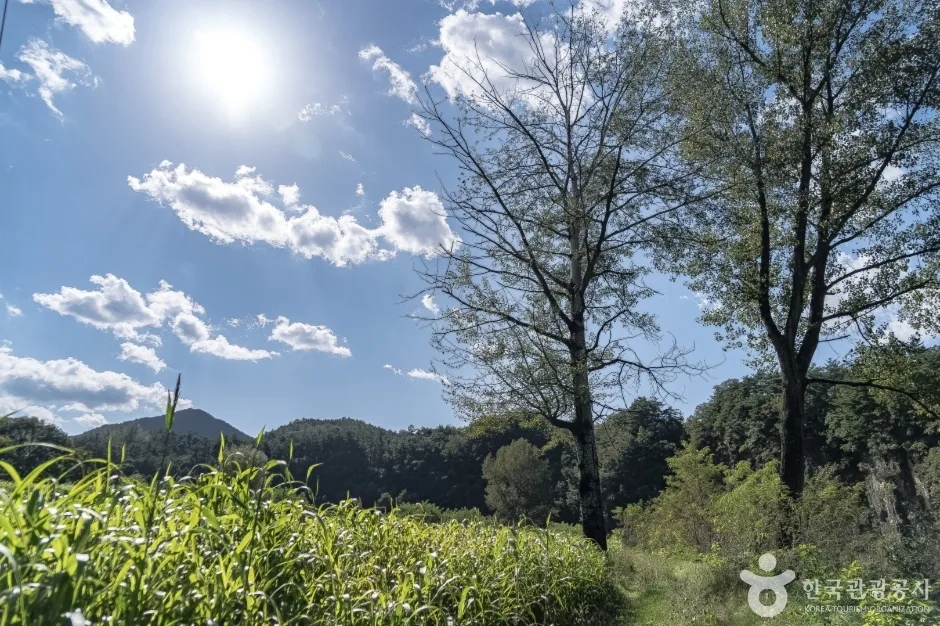 덕우리대촌마을 (2)_삼시세끼촬영지