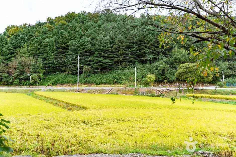 아산_송악 오돌개마을 (3)