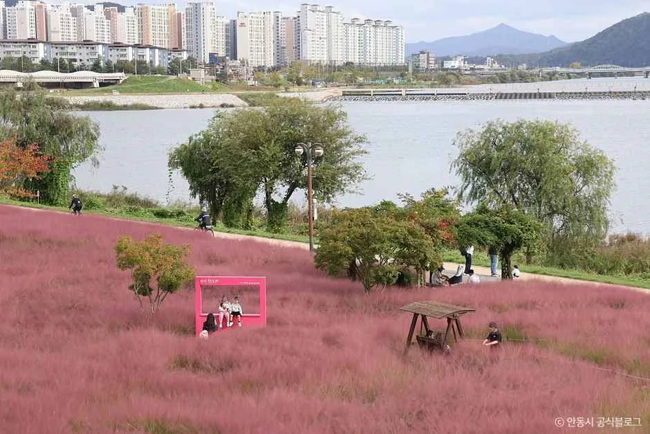 그라스원