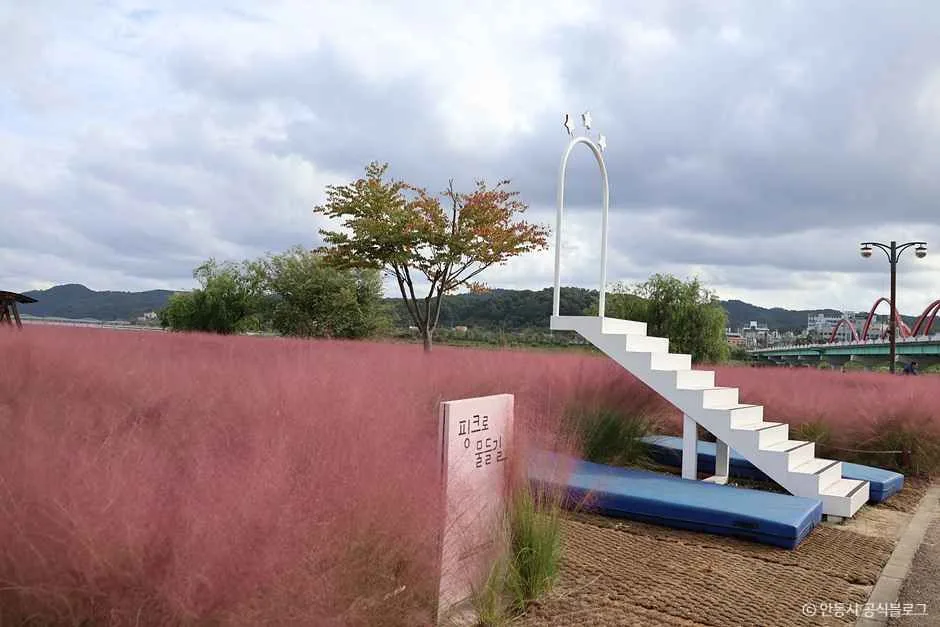 안동_그라스원 (4).jpg