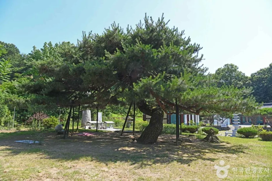 송불암(논산)  (6)