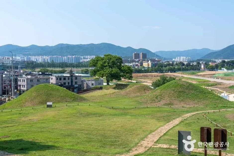 경산_임당유적전시관 (5)