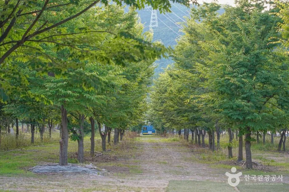 밀양_단장숲유원지 (3)