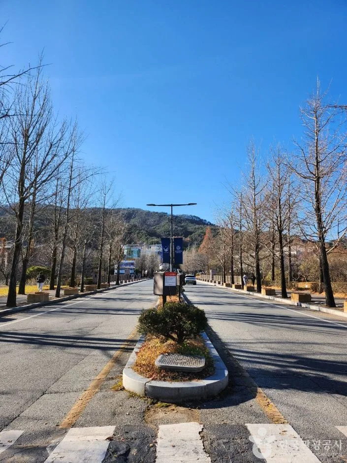 강원_원주_연세대 원주캠퍼스길 (1)