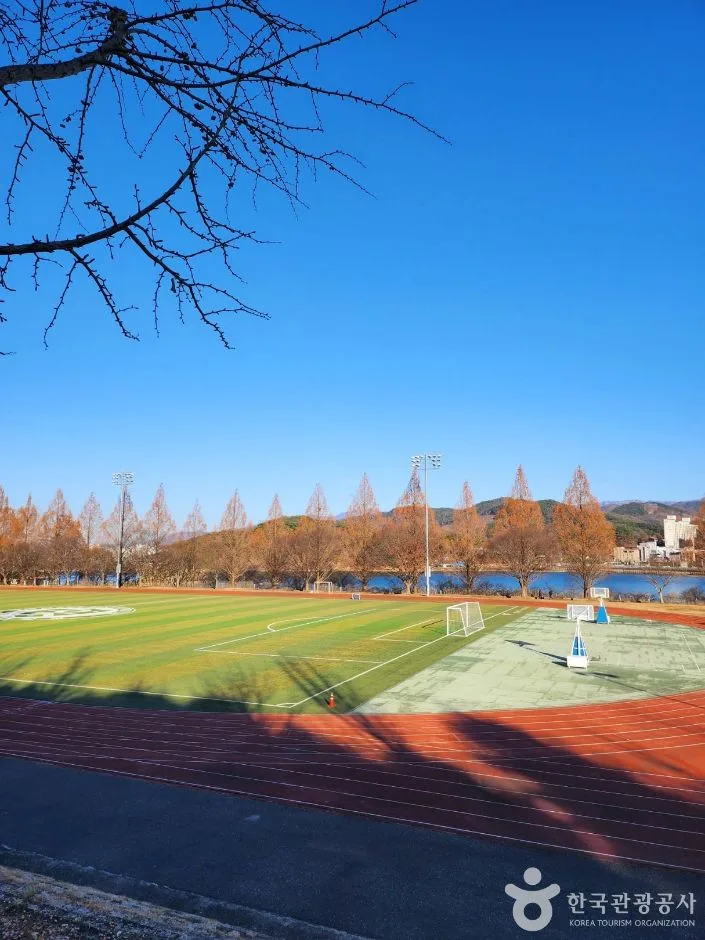 강원_원주_연세대 원주캠퍼스길 (14)