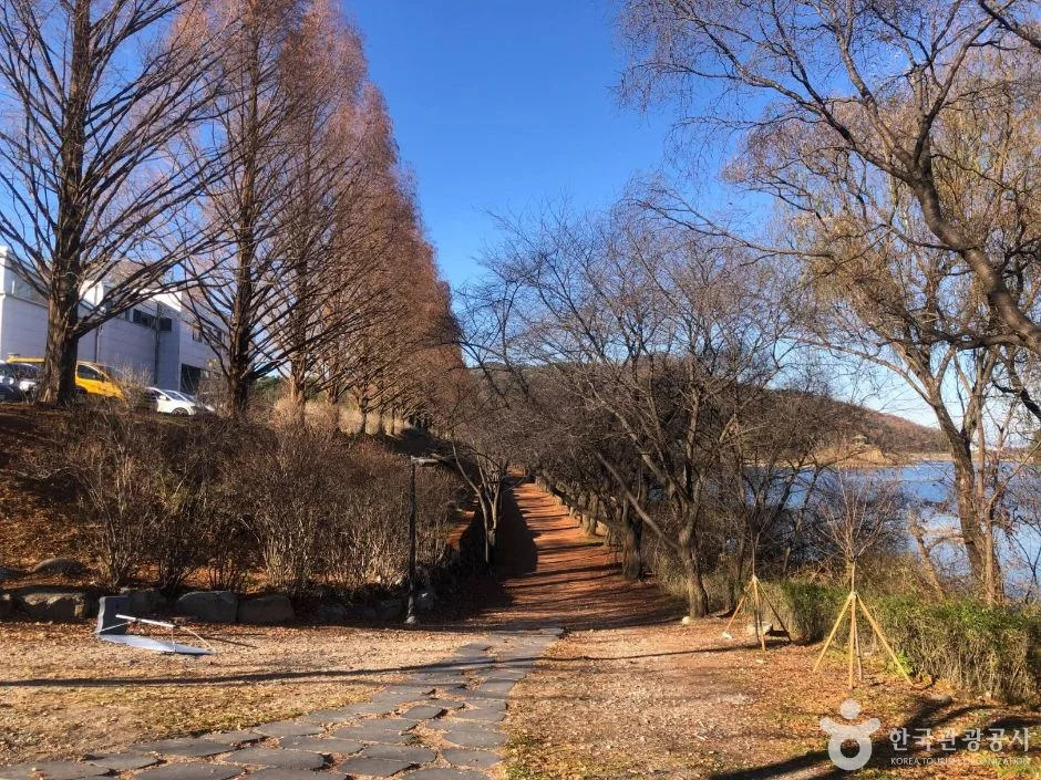 강원_원주_연세대 원주캠퍼스길 (9)