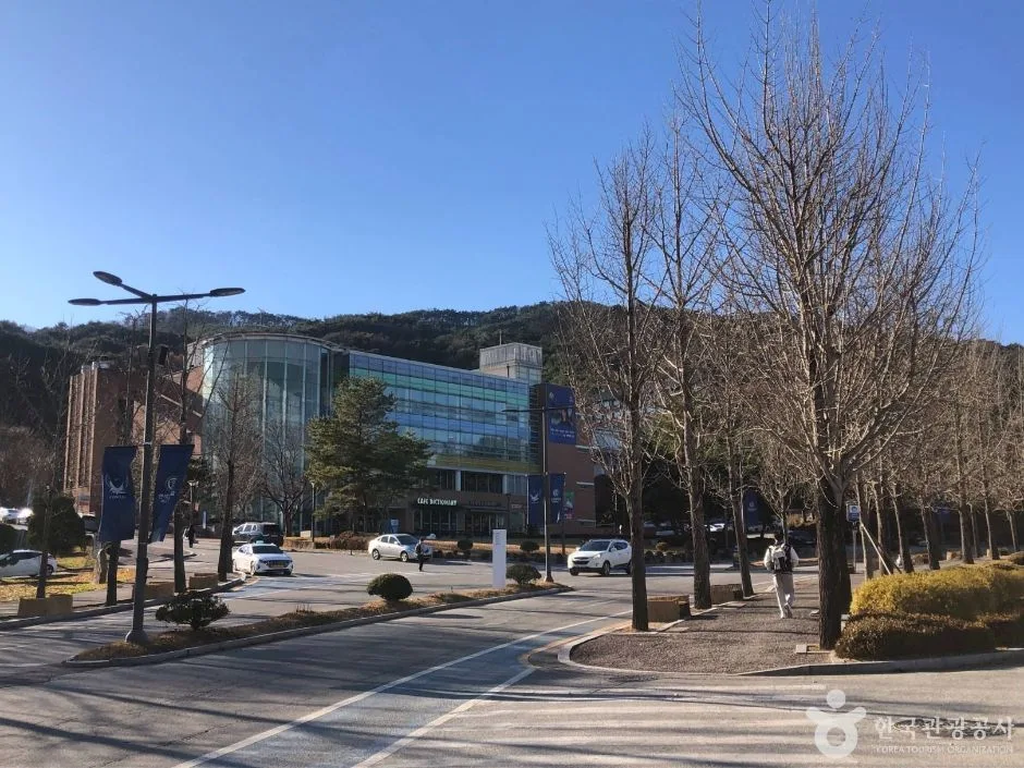 강원_원주_연세대 원주캠퍼스길 (10)
