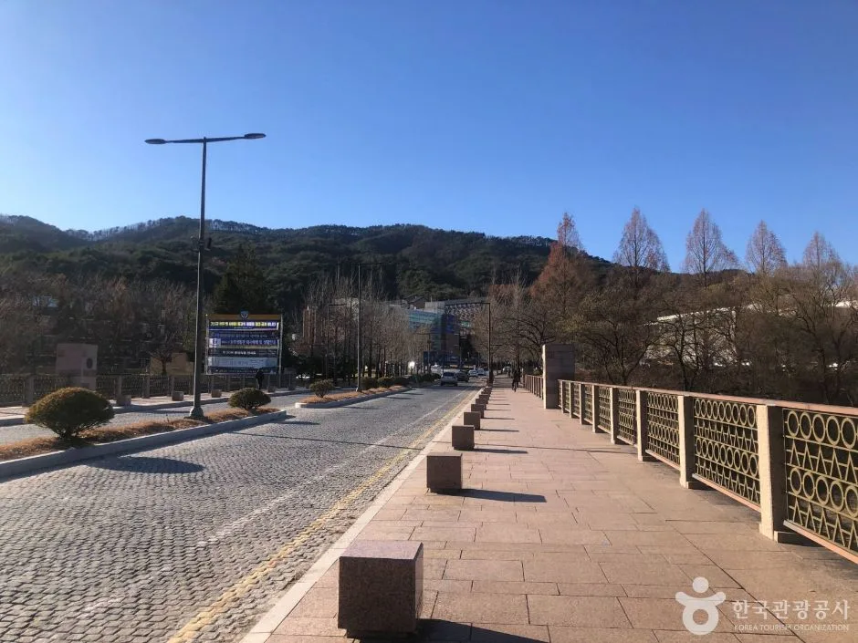 강원_원주_연세대 원주캠퍼스길 (6)