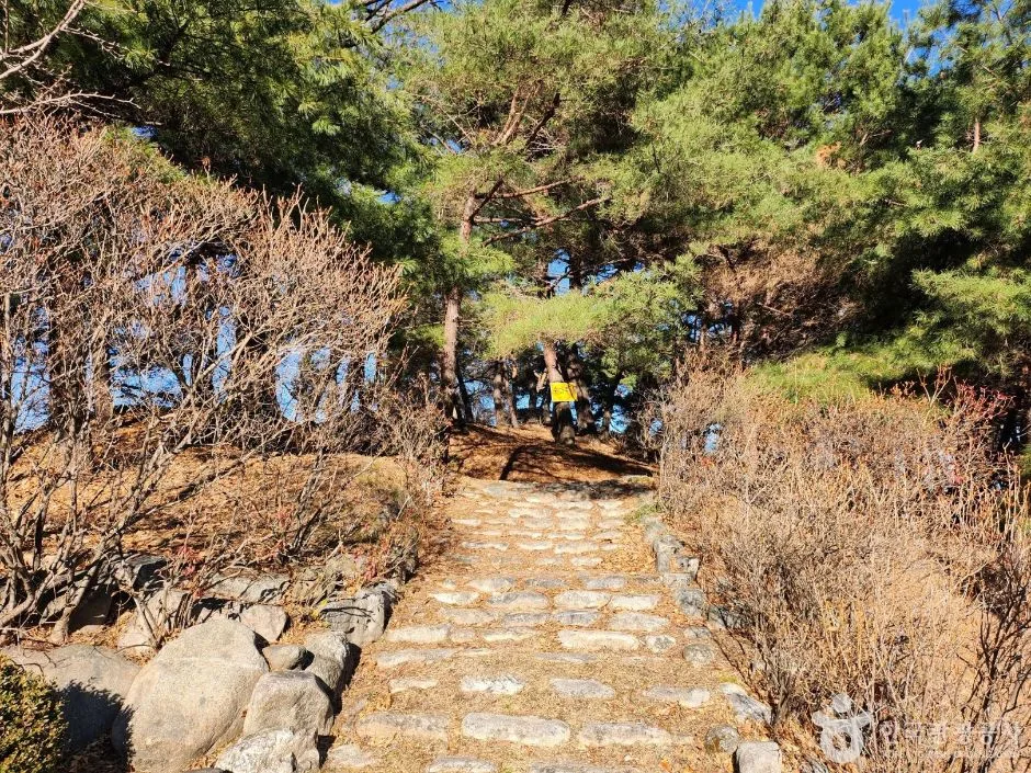 강원_원주_연세대 원주캠퍼스길 (20)
