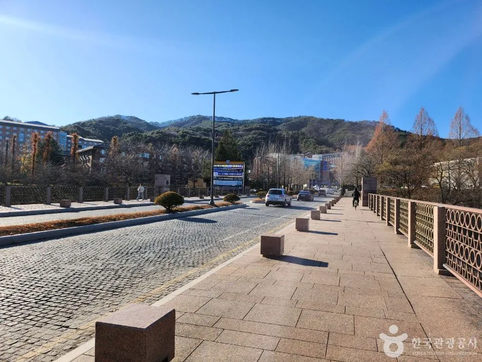 강원_원주_연세대 원주캠퍼스길 (2)