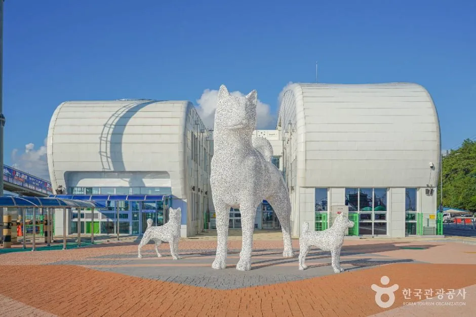 진도_진도항 (6)