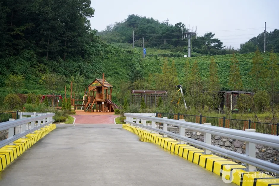 화랑체육공원 (14)