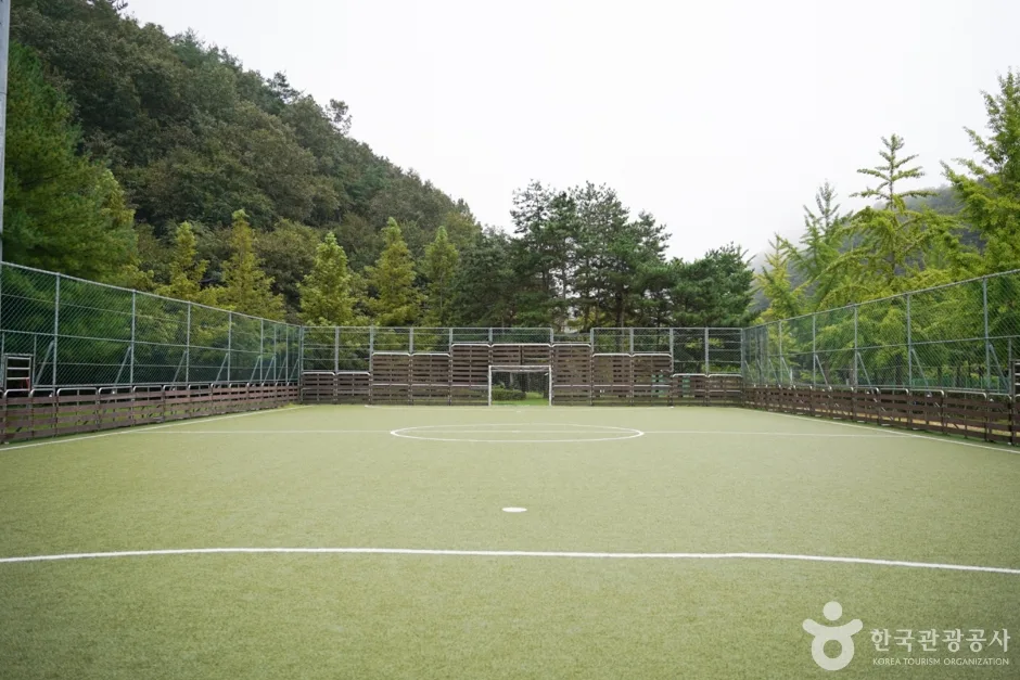 화랑체육공원