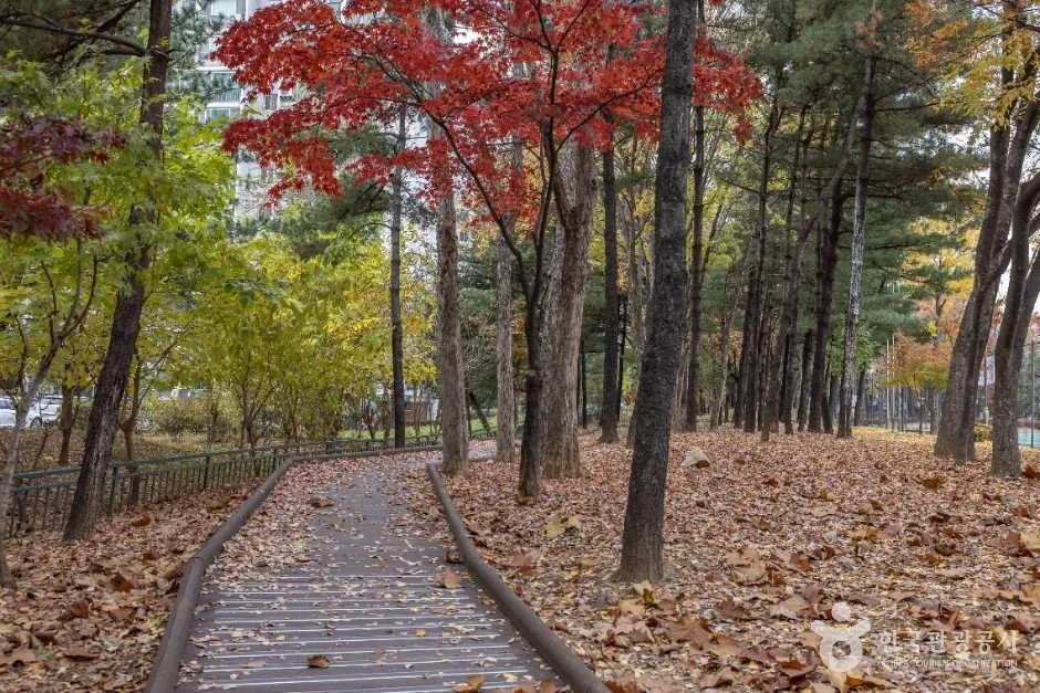 서울금천_독산근린공원 (6)
