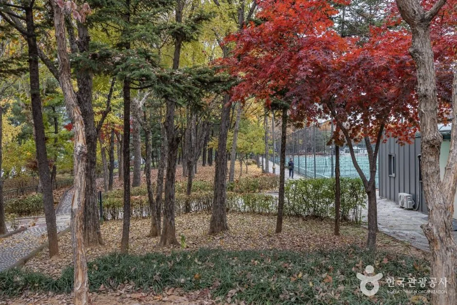 서울금천_독산근린공원 (5)