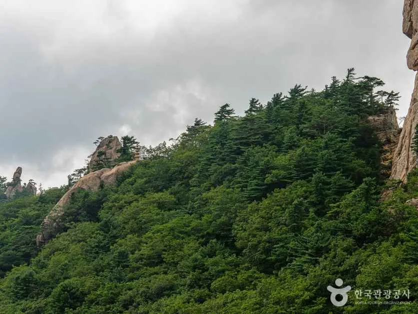인제 봉정암