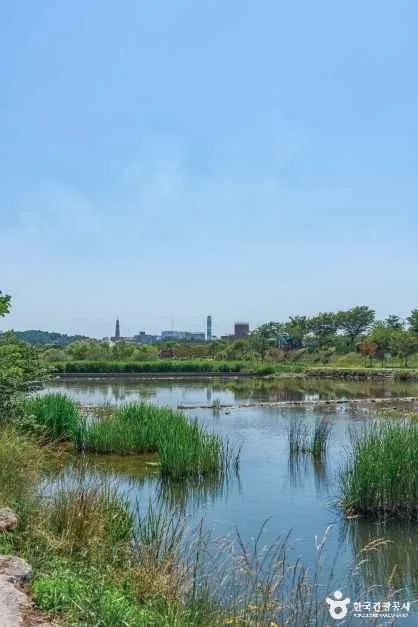 동해_전천·전천생활체육공원 (3).jpg